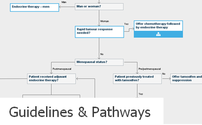 Cancer guidleines and pathways